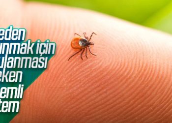 Kene ısırığından korunmanın yolları