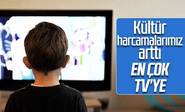 2018’de kültür harcamaları yüzde 23,4 arttı