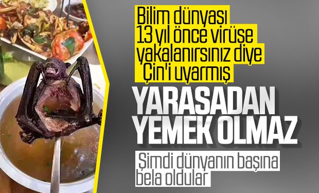 Çinliler SARS’tan sonra korona konusunda uyarıldı