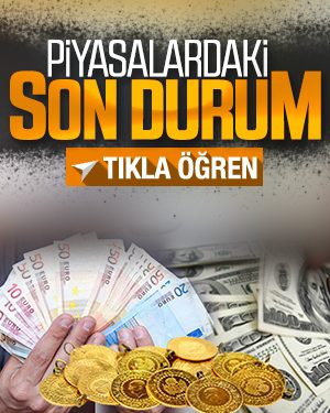 Dolar 6.71 lirayı gördü