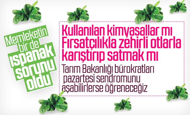 İstanbul’da ıspanaktan zehirlenenlerin sayısı artıyor