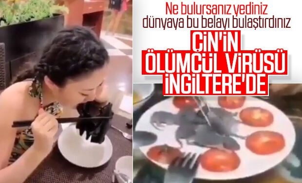 Koronavirüs İngiltere’ye sıçradı