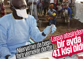 Nijerya’nın uğraştığı hastalık: Lassa ateşi