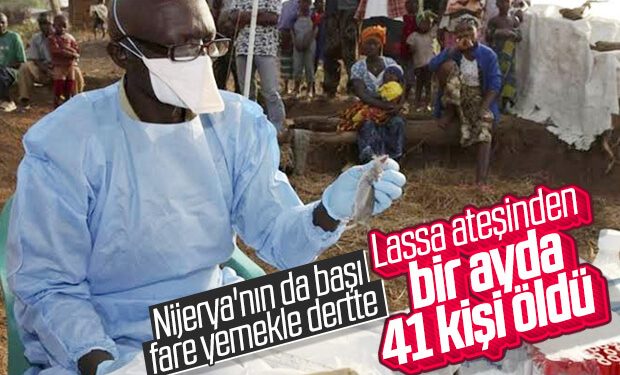 Nijerya’nın uğraştığı hastalık: Lassa ateşi