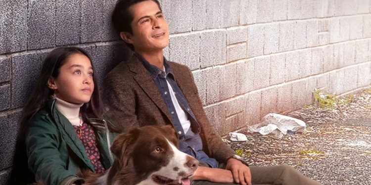 Masal ve Köfte’nin yolculuğu…Taçsız Prenses dizi konusu nedir, oyuncuları kimler?